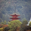 Zdjęcie z Japonii - Pagoda Tahoto