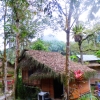 Zdjęcie z Malezji - bambu domki