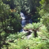 Zdjęcie z Australii - Wodospad Tripled Falls