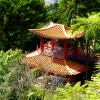 Zdjęcie z Portugalii - Monte Palace Gardens