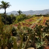 Zdjęcie z Portugalii - Ogród Botaniczny