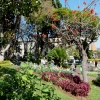 Zdjęcie z Portugalii - Jardin de Sao Laurenco