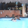 Zdjęcie z Meksyku - basenowy bar