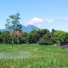 Zdjęcie z Indonezji - Balijskie krajobrazy