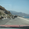 Zdjęcie z Grecji - Gdzies w drodze