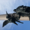 Zdjęcie z Ukrainy - Pomnik Mickiewicza