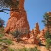 Zdjęcie ze Stanów Zjednoczonych - Red Canyon