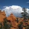 Zdjęcie ze Stanów Zjednoczonych - Red Canyon