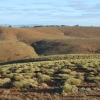Zdjęcie z Australii - Krajobraz Flinders Ranges