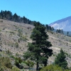 Zdjęcie z Hiszpanii - Las Canadas del Teide