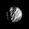 Zdjęcie z Polski - a to już księżyc