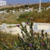 Zdjęcie z Tunezji - Cmentarz muzułmański