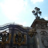Zdjęcie z Wielkiej Brytanii - Pałac Buckingham 