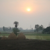 Zdjęcie z Indii - Zachód nad polem ryżowym