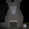 Zdjęcie z Australii - giant koala noca