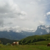 Zdjęcie ze Szwajcarii - Milki są wszędzie...