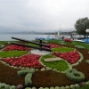 Zdjęcie ze Szwajcarii - Jezioro Zurychskie