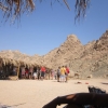 Zdjęcie z Egiptu - Wioska beduińska