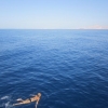 Zdjęcie z Egiptu - Morze Czerwone