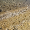 Zdjęcie z Izraelu - Sól na brzegu