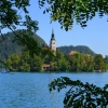 Jezioro Bled - Zdjęcie Jezioro Bled