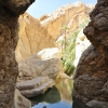  - Zdjęcie  - Chebika  - przepiękna oaza blisko granicy z Algierią
