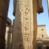 Zdjęcie z Egiptu - Luksor