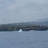 Zdjęcie z Indonezji - Klify wyspy Lembongan