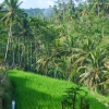 Zdjęcie z Indonezji - Balijski obrazek
