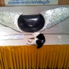 Zdjęcie z Tajlandii - kot spiacy na oltarzu 