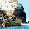 Zdjęcie z Peru - Wyspy Ballestas