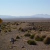 Zdjęcie z Peru - znak drogowy ...