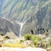 Zdjęcie z Peru - Kanion Colca