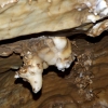 Zdjęcie ze Słowacji - słowackie jaskinie