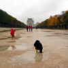 Zdjęcie z Francji - Deszczowe Tuileries