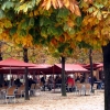 Zdjęcie z Francji - Ogrody Tuileries