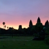 Kambodża - Angkor Wat, Ta Prohm