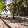 Zdjęcie z Dominikany - wyspa Saona