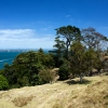 Zdjęcie z Nowej Zelandii - TAURANGA