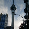 Zdjęcie z Nowej Zelandii - Auckland 