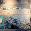 Zdjęcie z Nowej Zelandii - Antarctic Encounter