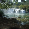 Zdjęcie z Chorwacji - rzeka Krka