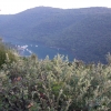 Zdjęcie z Chorwacji - kanał limski