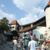 Zdjęcie ze Słowenii - zamek w Bledzie