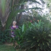 Zdjęcie ze Sri Lanki - W hotelowym ogrodzie