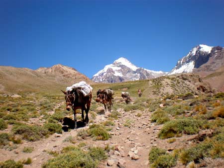 Droga do obozu Plaza Argentina