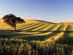 Przepiękne równiny