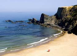 Plaża Zambujeira do Mar w Portugalii