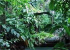 Amazonia: 9 osób przeżyło katastrofę samolotu
