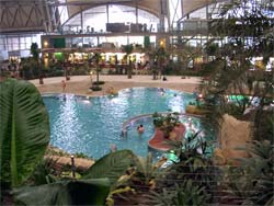 Tropikalna wyspa pod Berlinem